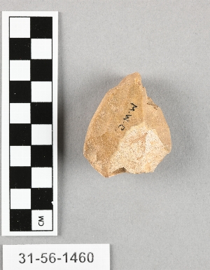 31-56-1460
