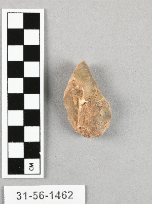 31-56-1462