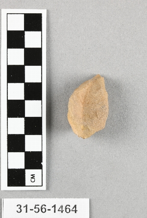 31-56-1464