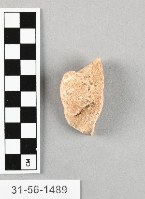 31-56-1489