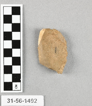31-56-1492