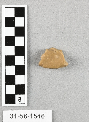 31-56-1546