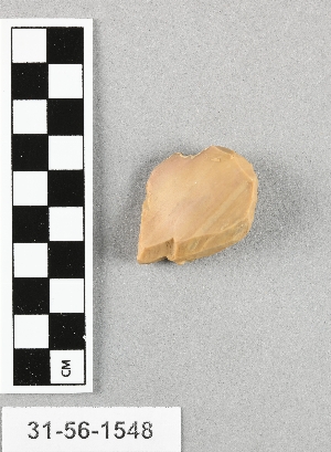 31-56-1548