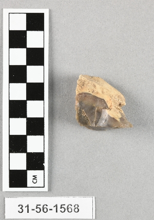31-56-1568