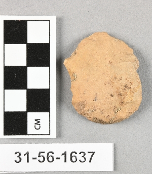 31-56-1637