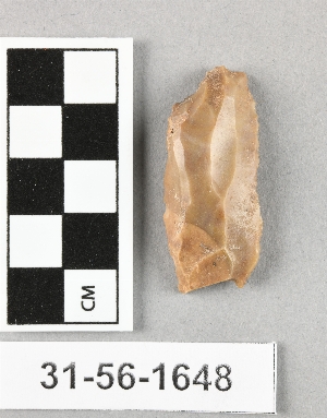 31-56-1648