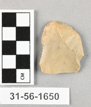 31-56-1650