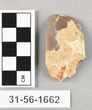 31-56-1662