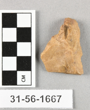 31-56-1667
