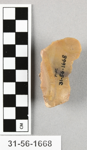 31-56-1668