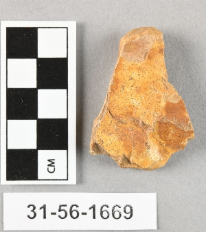 31-56-1669