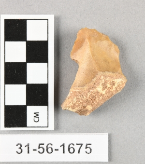 31-56-1675
