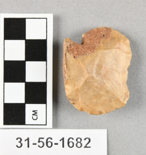 31-56-1682