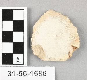 31-56-1686
