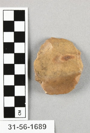 31-56-1689