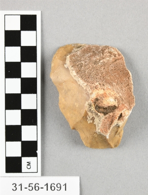 31-56-1691