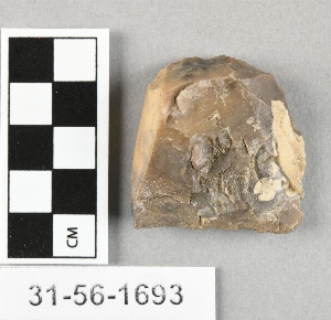 31-56-1693