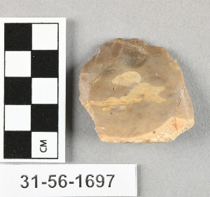 31-56-1697