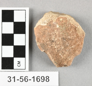 31-56-1698
