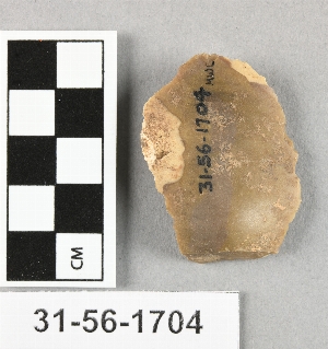 31-56-1704
