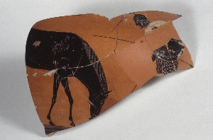 MS4873A
