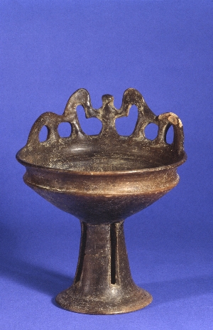 MS761