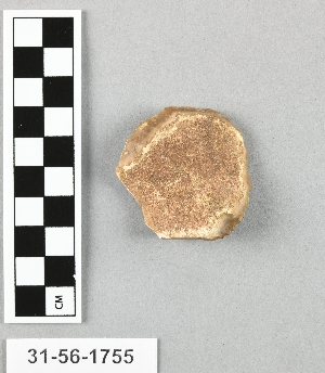 31-56-1755