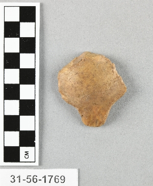 31-56-1769