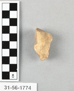 31-56-1774