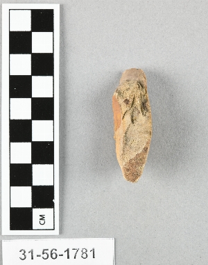 31-56-1781