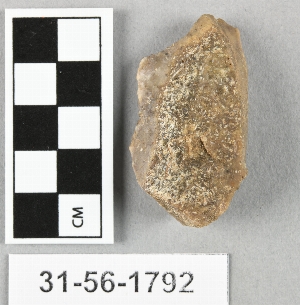 31-56-1792