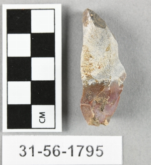 31-56-1795