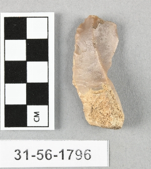 31-56-1796