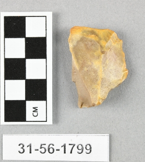 31-56-1799