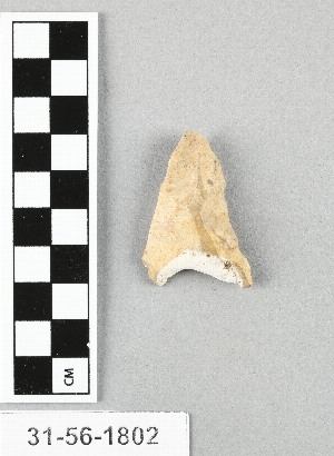 31-56-1802
