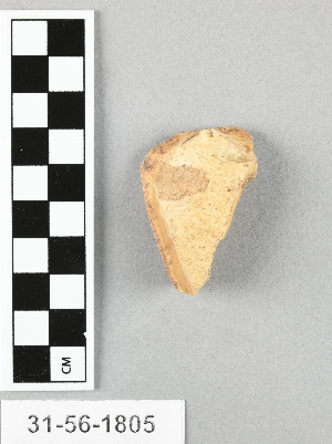 31-56-1805