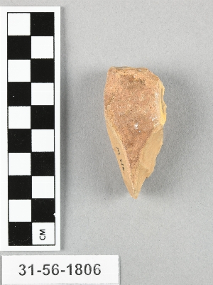 31-56-1806