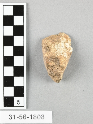 31-56-1808