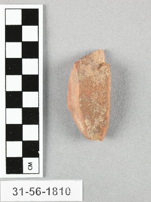 31-56-1810