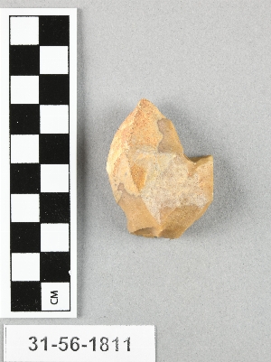 31-56-1811