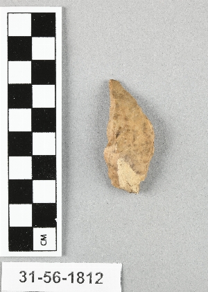 31-56-1812
