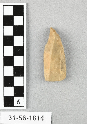 31-56-1814