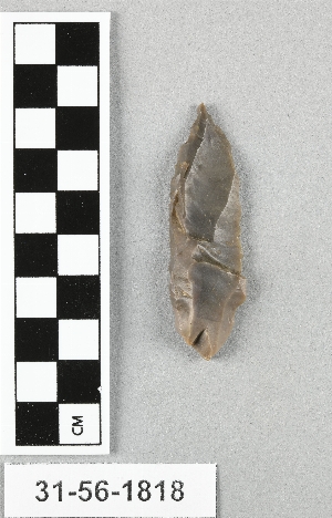 31-56-1818