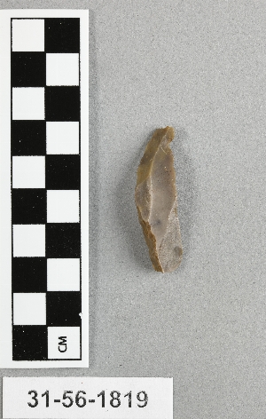 31-56-1819
