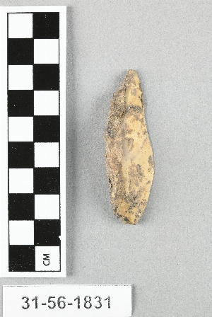 31-56-1831