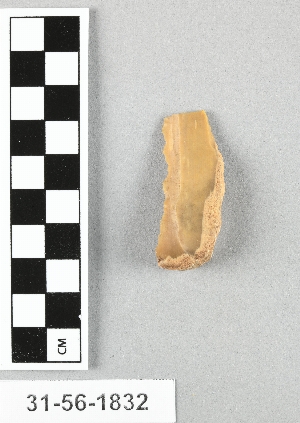 31-56-1832