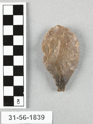 31-56-1839