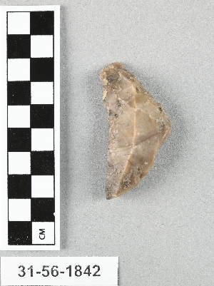 31-56-1842
