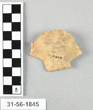 31-56-1845