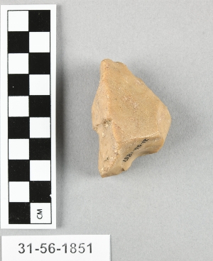 31-56-1851